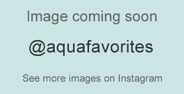 Emperor Tetra (Nematobrycon palmeri) 5 unsexed fish